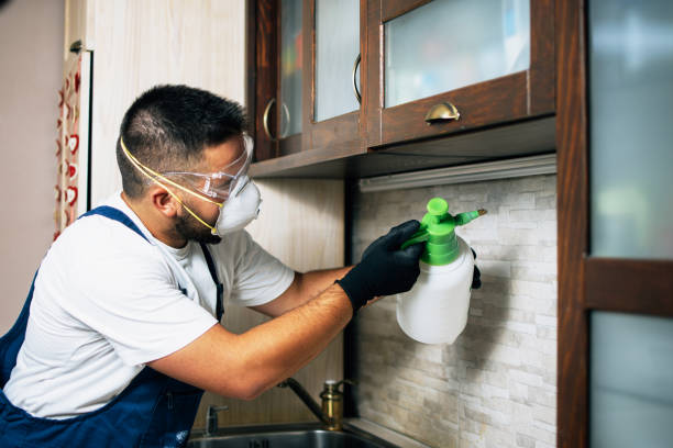 Best Wildlife Control Services  in Texkana, AR