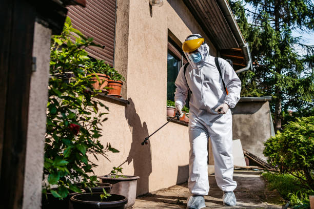 Trusted Texarkana, AR Pest Control Experts