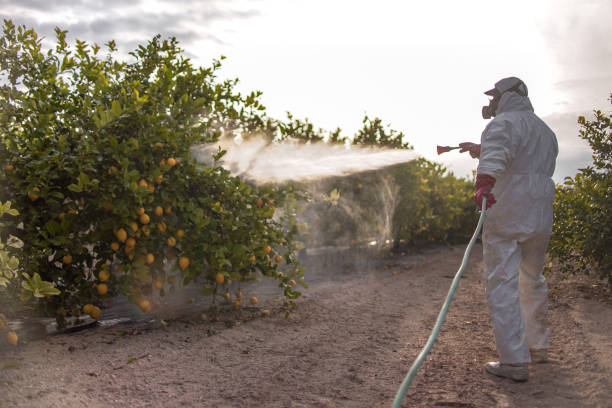 Best Affordable Pest Control Services  in Texkana, AR