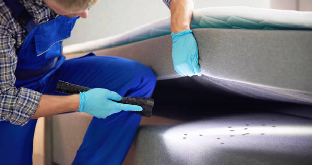 Best Wasp Removal Services  in Texkana, AR