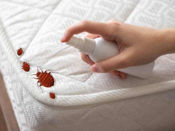 Best Bed Bug Extermination  in Texkana, AR