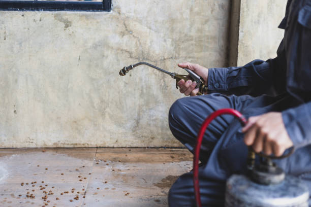 Pest Prevention Services in Texarkana, AR